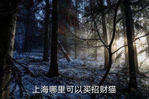 上海哪里可以買招財貓