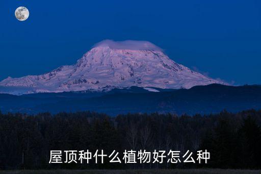 屋頂種什么植物好怎么種