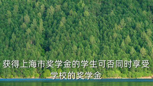 上海市獎學金 條件，上海市獎學金 有什么用