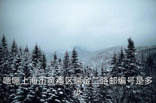 嗯嗯上海市黃浦區瑞金二路郵編號是多少