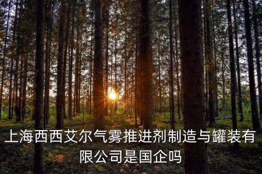 上海市環保先進個人，嗨看到你在上海落戶的消息想問一下你的上海市級優秀畢業生在