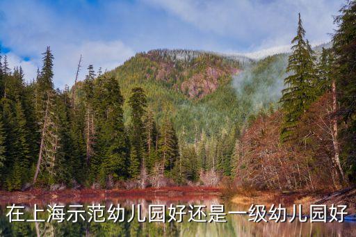 上海市公辦一級(jí)幼兒園好不好，上海市寶山城市實(shí)驗(yàn)幼兒園好嗎