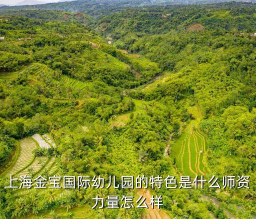 上海市優質幼兒園辦園特色介紹，上海那幾家幼兒園比較有特色
