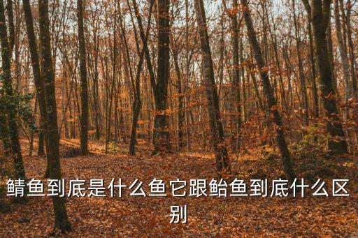 鯖科，鯖這個(gè)字怎么讀