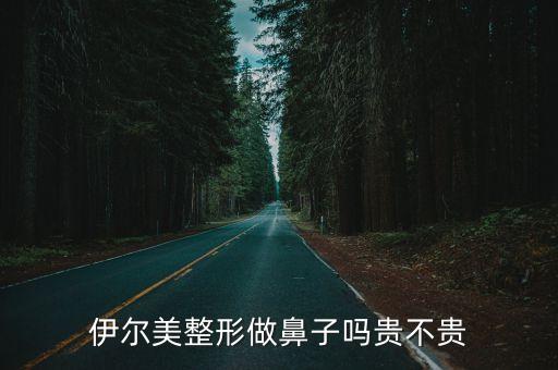上海市伊爾美整形，伊爾美整形做鼻子嗎貴不貴