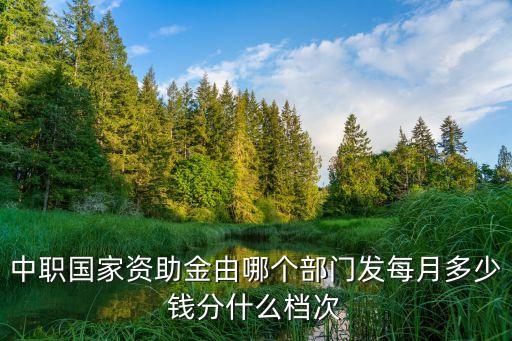 廣州中職生資助，中職國家資助金由哪個部門發每月多少錢分什么檔次