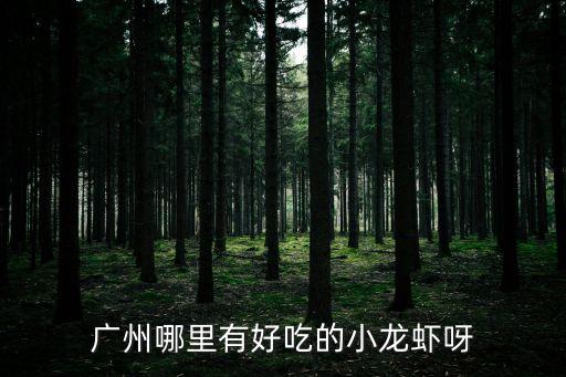 廣州海珠小龍蝦哪家最好吃，廣州那里有吃香辣小龍蝦