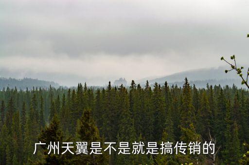 廣州天翼是不是就是搞傳銷(xiāo)的