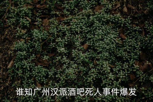 廣州中山大道王園路新聞，1218天未亮廣州花都發生刀傷人致死事件求助