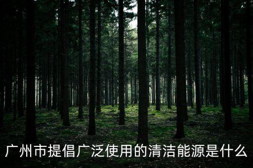廣州清潔能源發電，2010廣州正準備推廣的清潔能源是什么