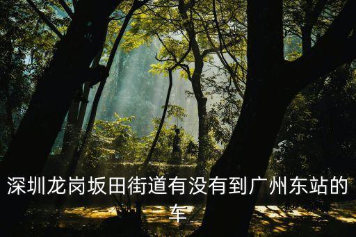 深圳坂田車站有什么車到廣州東站，我在坂田做什么車到廣州東火車站