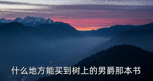 什么地方能買到樹上的男爵那本書