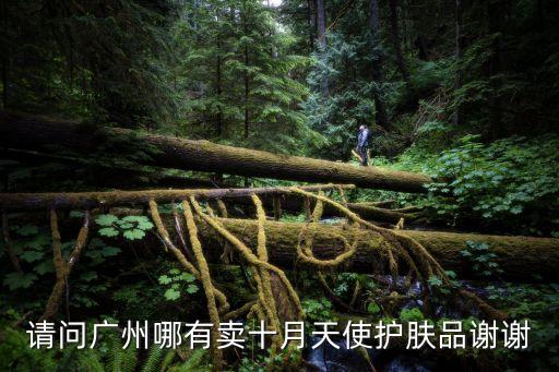 廣州哪里有十月天使的專柜，請問廣州哪有賣十月天使護膚品謝謝