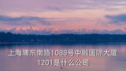 上海浦東南路1088號中融國際大廈1201是什么公司