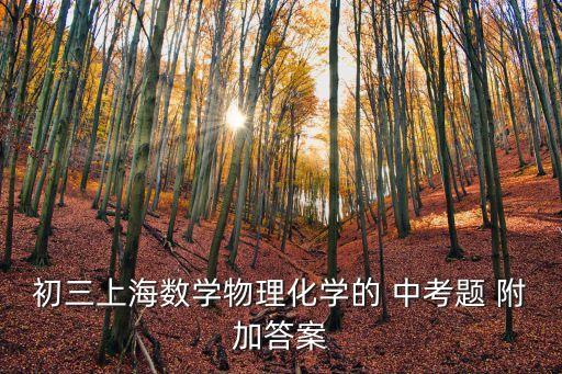 上海市2019中考物理模擬題，初三上海數學物理化學的 中考題 附加答案