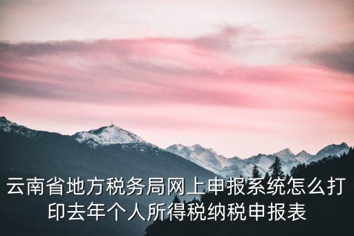 云南省地方稅務局網上申報系統(tǒng)怎么打印去年個人所得稅納稅申報表