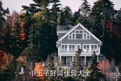 小王子好詞好句，小王子里的好詞好句