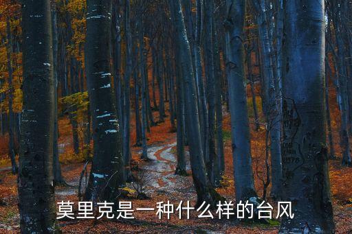莫里克，莫里克是一種什么樣的臺風
