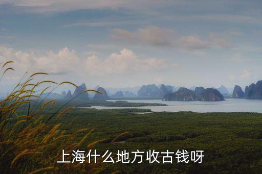 個人收購古董上海市古錢幣，上海什么地方收古錢呀