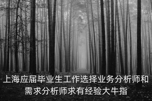 上海應屆畢業生工作選擇業務分析師和需求分析師求有經驗大牛指
