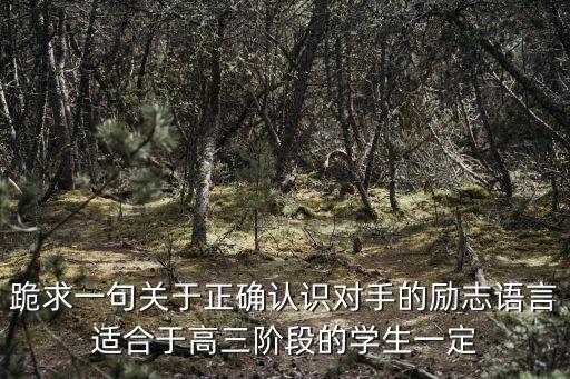 關于對手的名言，跪求一句關于正確認識對手的勵志語言適合于高三階段的學生一定