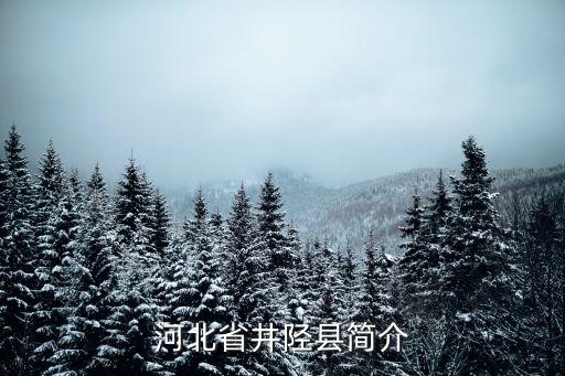 張河灣水庫，河北省井陘縣簡介