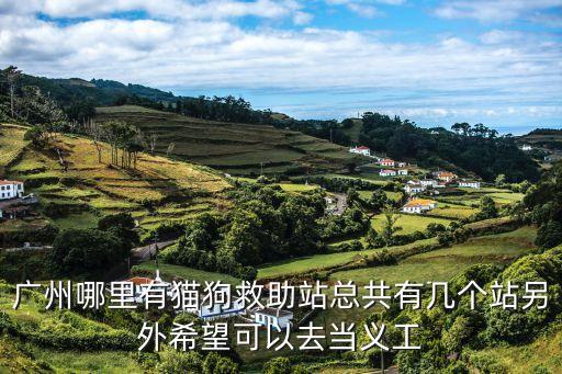 廣州哪里有貓狗救助站總共有幾個站另外希望可以去當義工