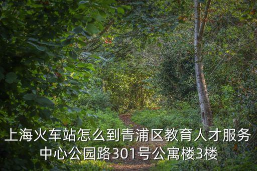 上海火車站怎么到青浦區教育人才服務中心公園路301號公寓樓3樓