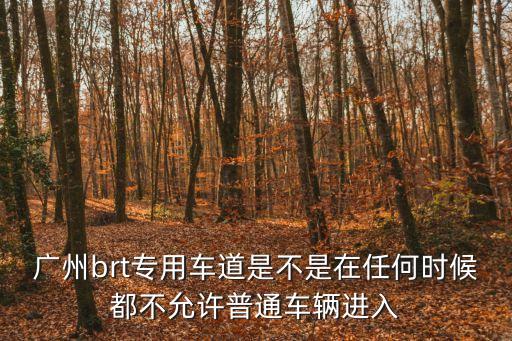 廣州brt專用車道是不是在任何時(shí)候都不允許普通車輛進(jìn)入
