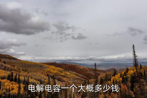 電解電容一個大概多少錢