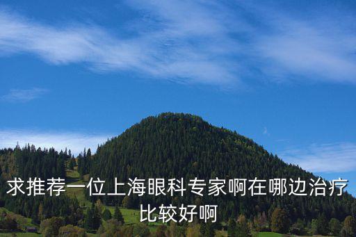 求推薦一位上海眼科專家啊在哪邊治療比較好啊