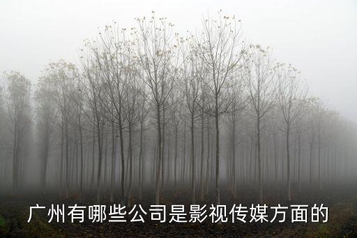 廣州有哪些公司是影視傳媒方面的