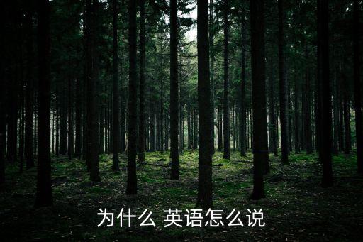 為什么 英語怎么說