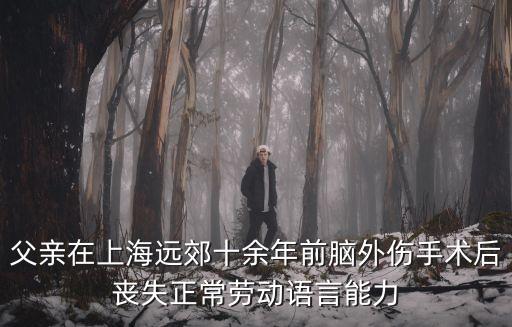父親在上海遠郊十余年前腦外傷手術后喪失正常勞動語言能力