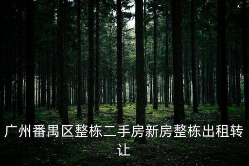 廣州番禺區整棟二手房新房整棟出租轉讓