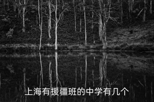 上海市川沙中學新疆班的視頻，上海有哪些高中有科技班
