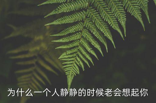 靜靜的想你，為什么一個人靜靜的時候老會想起你
