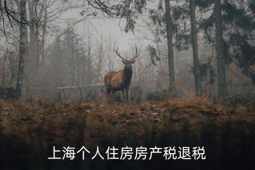 上海個人住房房產稅退稅