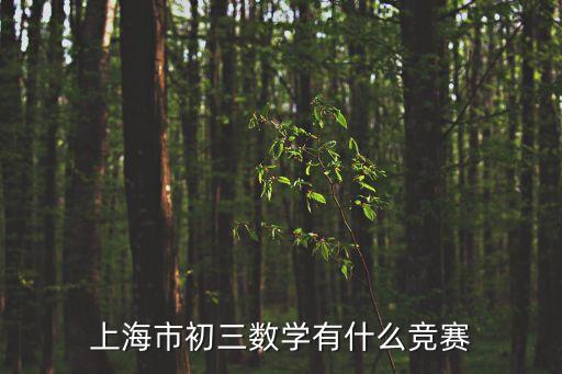 上海市初三數學有什么競賽