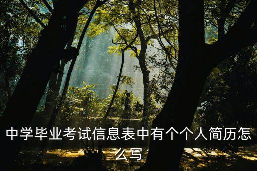 中學(xué)畢業(yè)考試信息表中有個(gè)個(gè)人簡(jiǎn)歷怎么寫