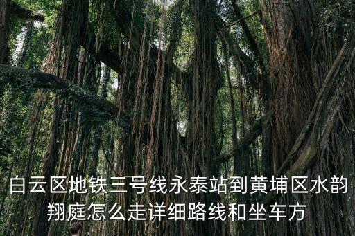 廣州水韻翔庭開發區，廣州市機場北路航云南街280號民航文體中心317房