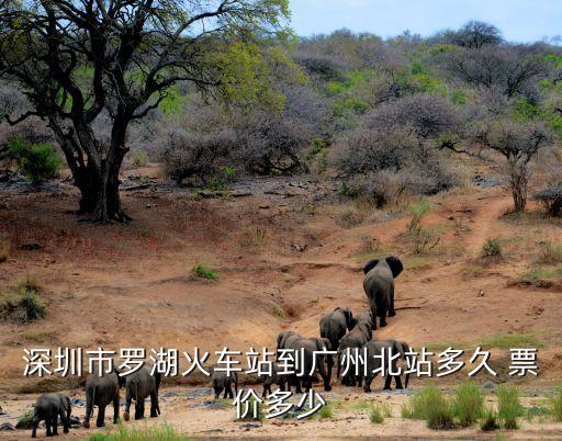 羅湖到廣州北站多少錢，深圳市羅湖火車站到廣州北站多久 票價多少
