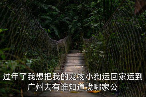 過年了我想把我的寵物小狗運回家運到廣州去有誰知道找哪家公
