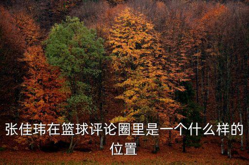 張佳瑋在籃球評論圈里是一個什么樣的位置