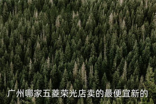 廣州哪里有賣五菱榮光小卡的，在廣州哪里買五菱榮光