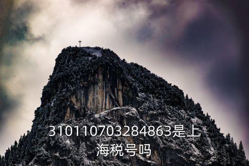 310110703284863是上海稅號嗎