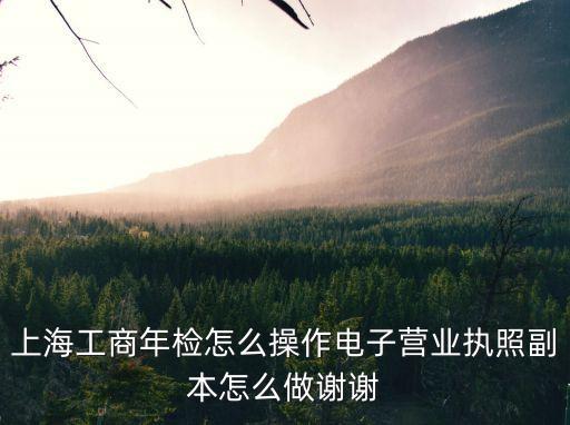 上海工商年檢怎么操作電子營業執照副本怎么做謝謝