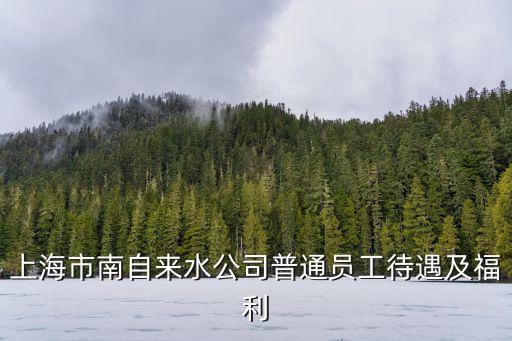 上海市南自來水公司普通員工待遇及福利