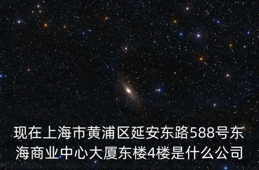 現在上海市黃浦區延安東路588號東海商業中心大廈東樓4樓是什么公司