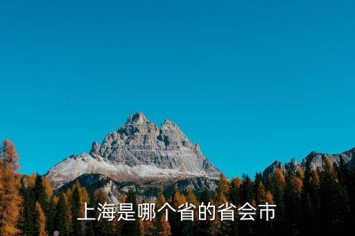 上海是哪個省的省會市